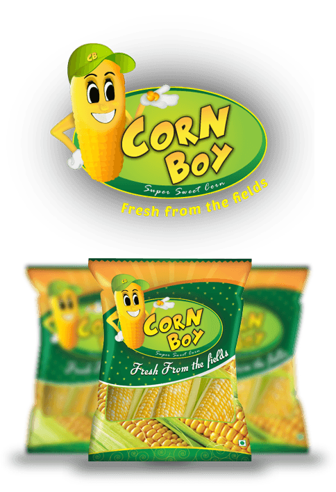 Coimbatore Design Service
